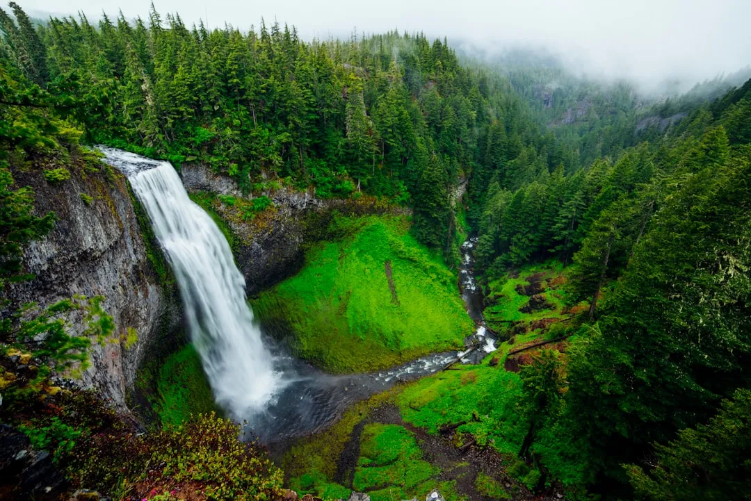 Sea Creek Falls: The Clearest Water in the State (Image Credits: Unsplash)