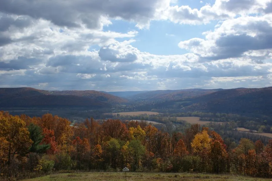 A Valley Shaped by Silence (Image Credits: Pexels)