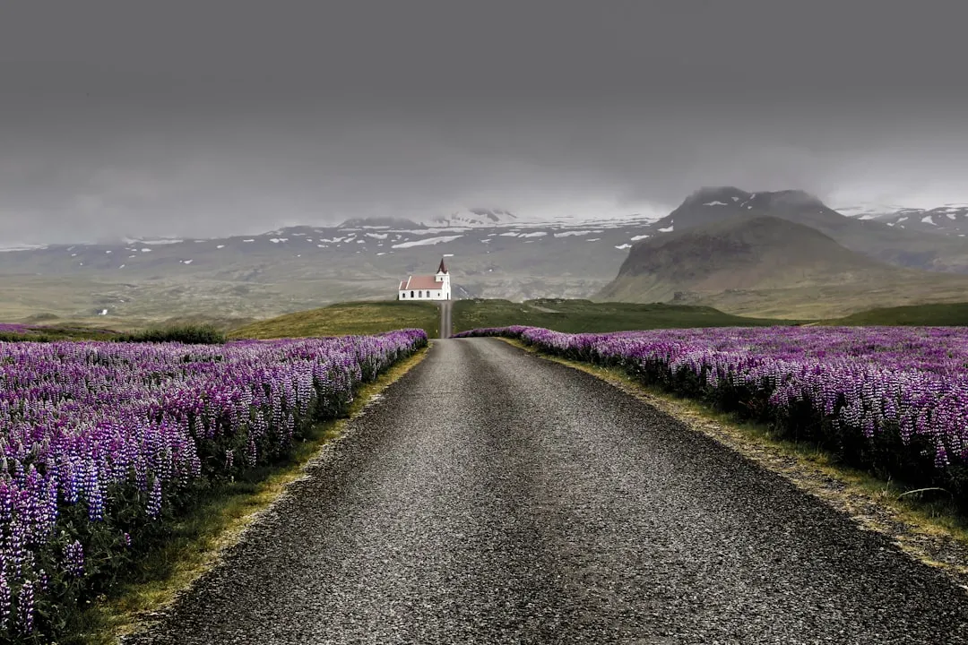 The Case for Visiting Now - and Visiting Responsibly (Image Credits: Unsplash)
