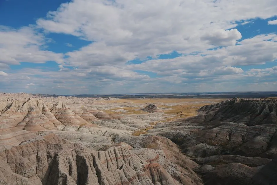 The Park's Scale and Economic Reach (Image Credits: Pexels)