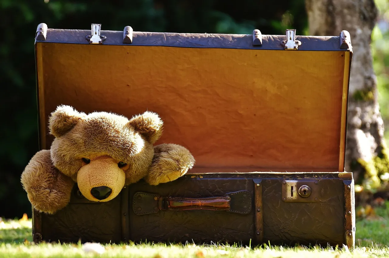 The "What If" Packer: Imagination Running the Show (Image Credits: Pixabay)