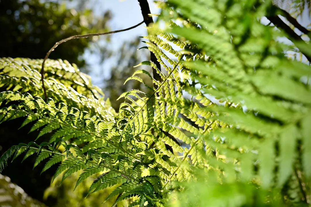 Flora: A Plant World Largely Its Own (Image Credits: Unsplash)