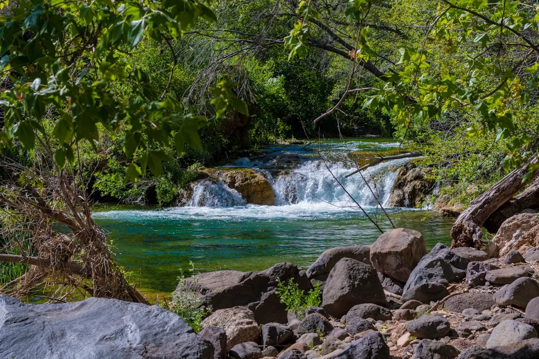 Fossil Creek: Arizona's Spring-Fed Showstopper (Image Credits: Unsplash)