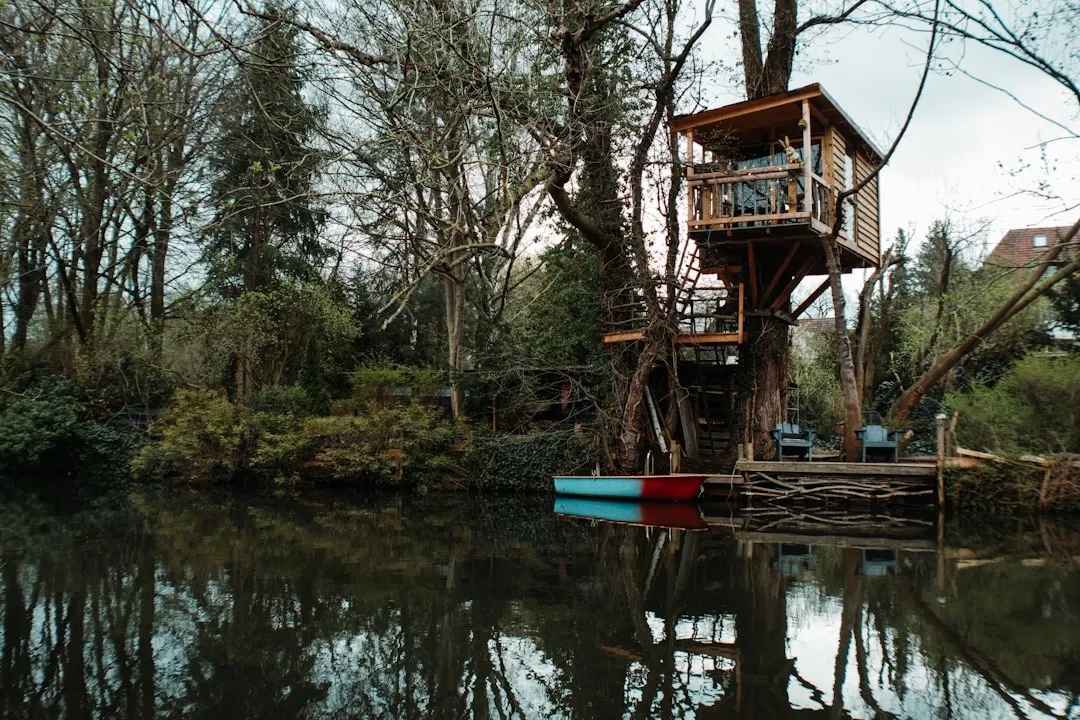 Why Treehouse Travel Is More Than Just a Trend (Image Credits: Unsplash)