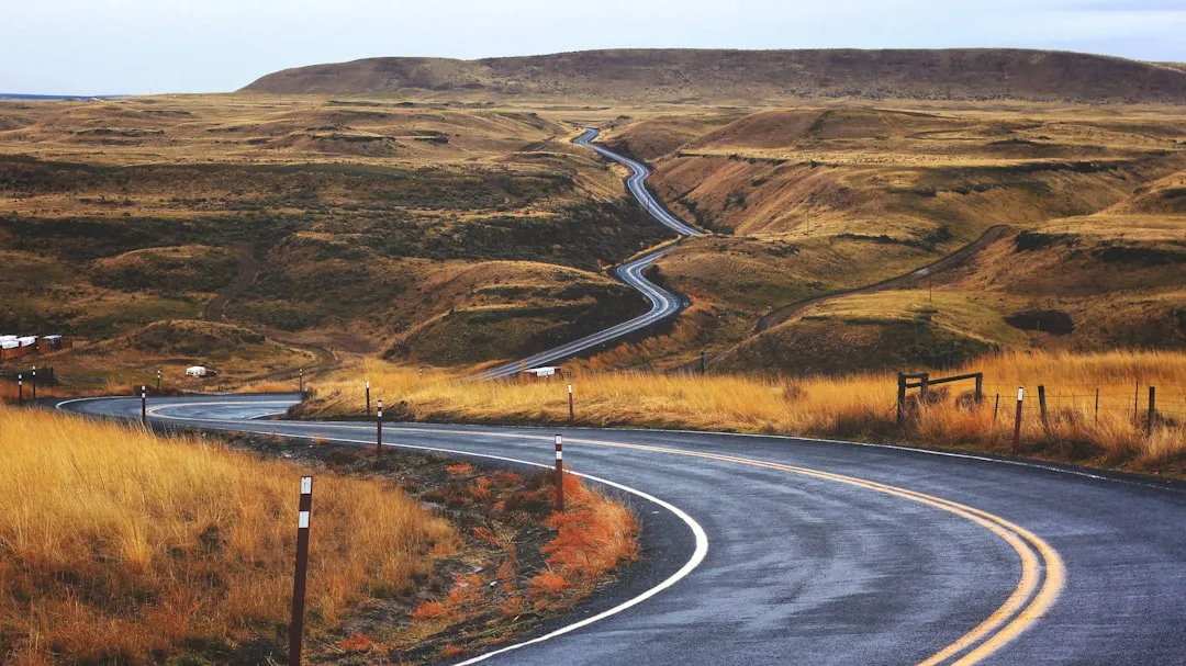 Who's Actually Stopping to Look (Image Credits: Unsplash)