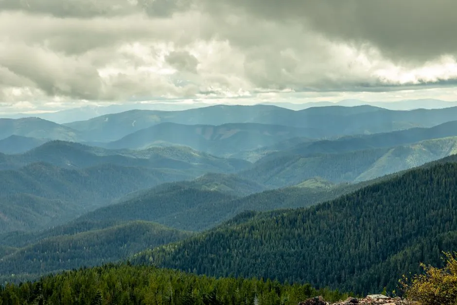 Lookout Butte Lookout, Nez Perce-Clearwater National Forests, Idaho (Image Credits: Pexels)