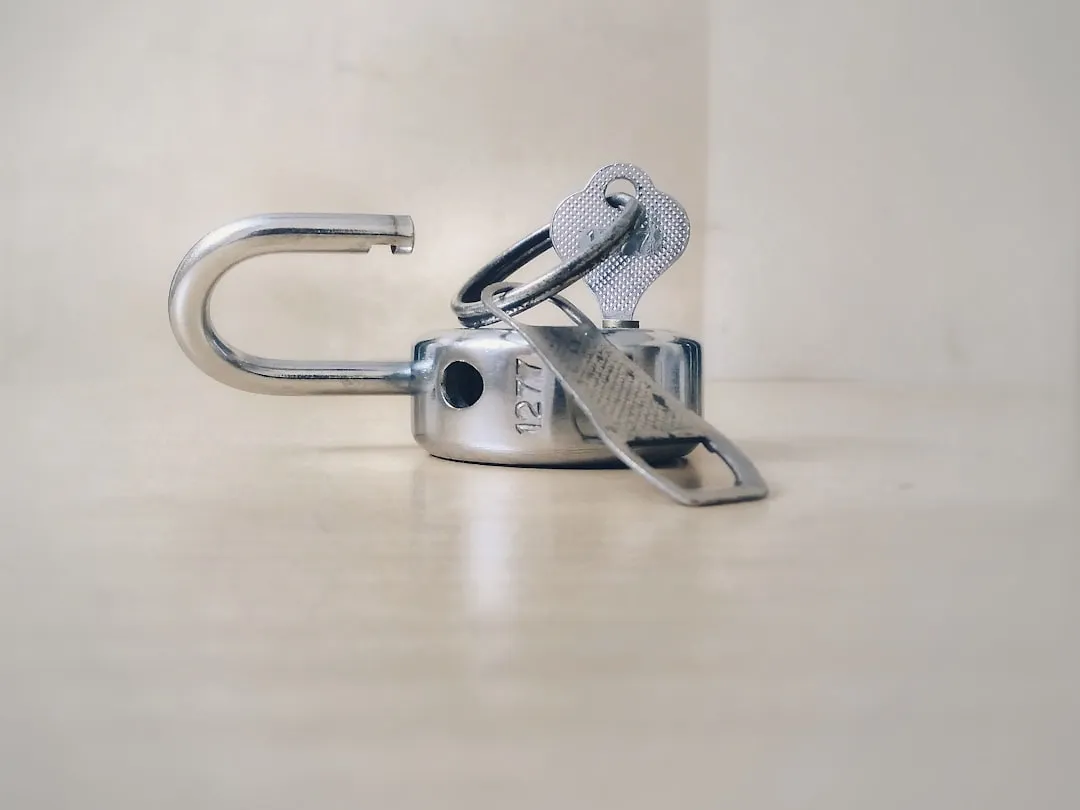 The Unsaflok Vulnerability: When Millions of Locks Were Exposed (Image Credits: Unsplash)