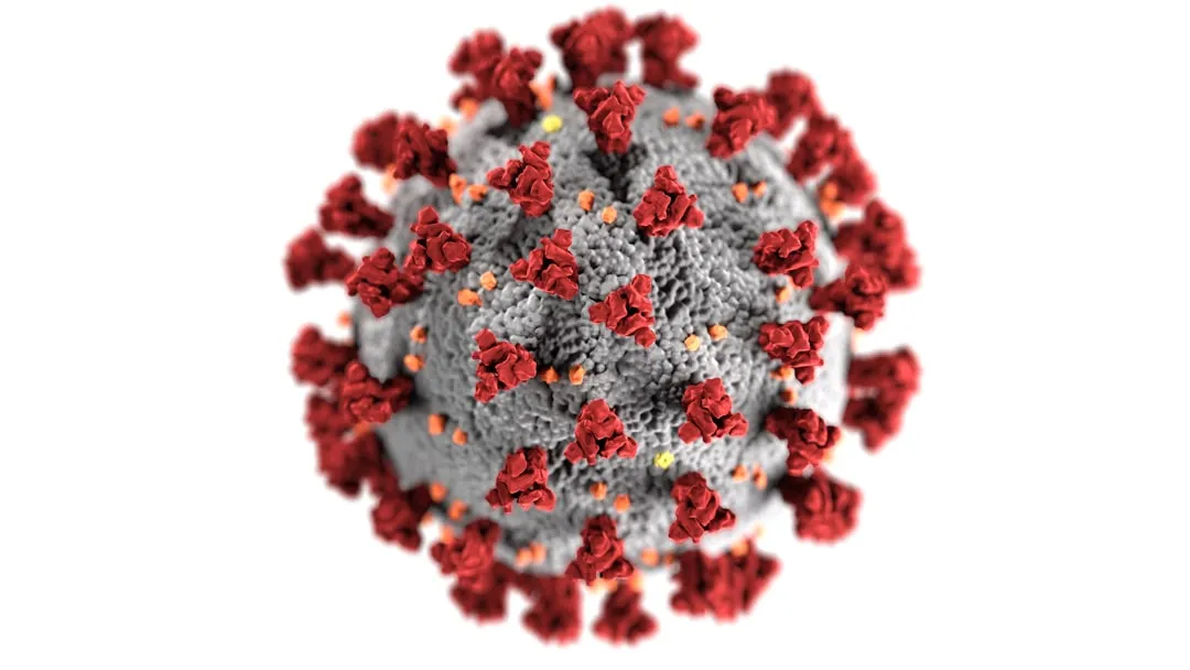 Norovirus, Not Just Parasites, Is the Bigger Recent Concern (Image Credits: Unsplash)