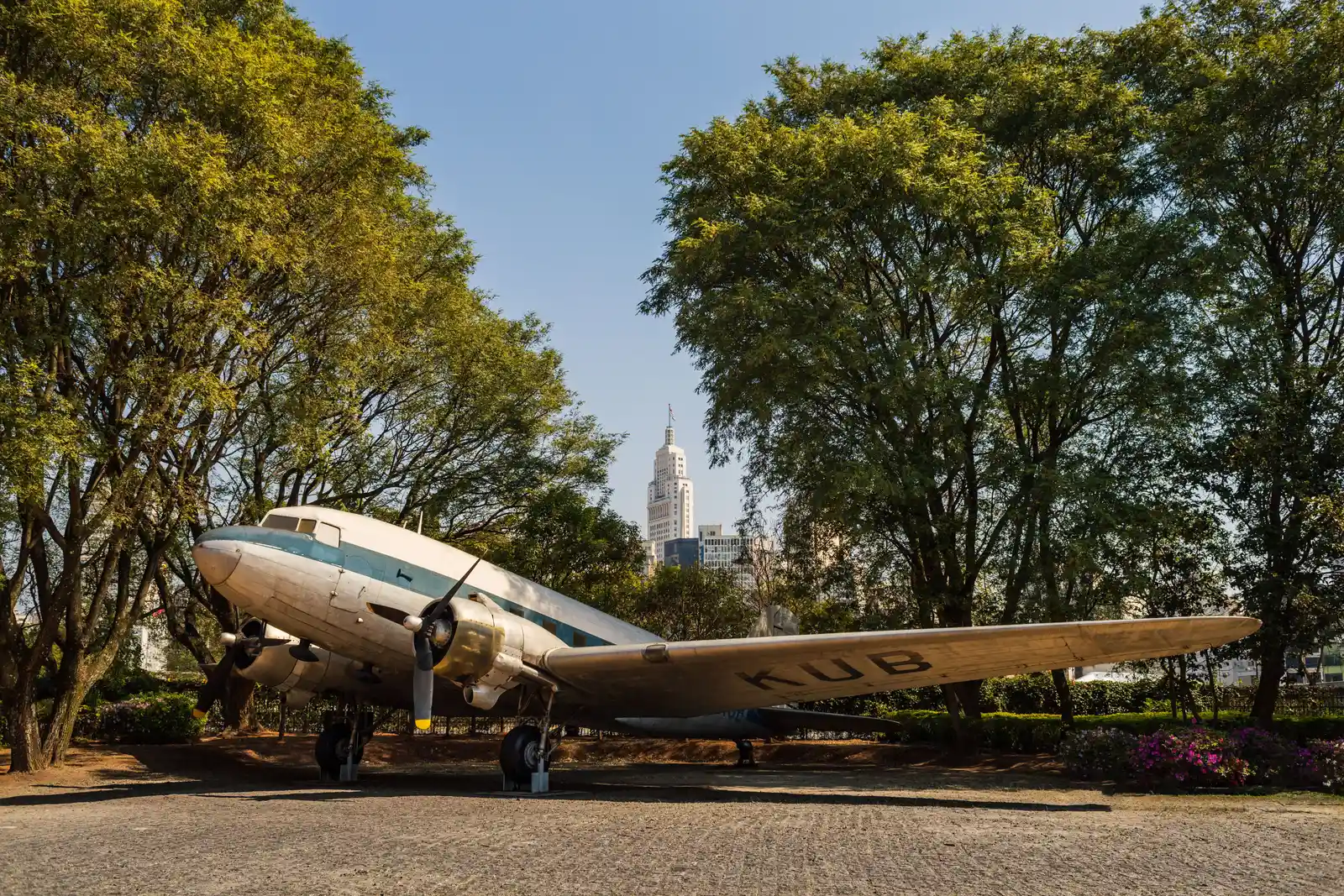 The DC-3 Makes It Almost Normal (Image Credits: Pexels)