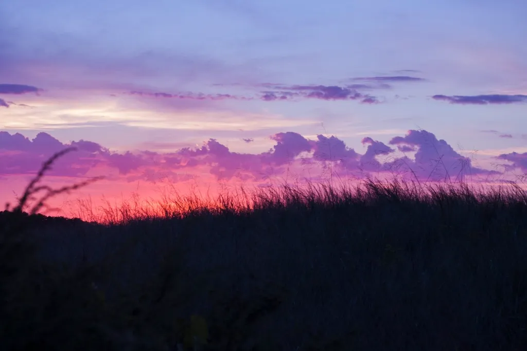 The Beach Experience Itself Is Legitimately Impressive (Image Credits: Rawpixel)