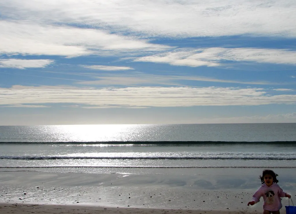 What Makes Salema Different From the Rest (michael clarke stuff, Flickr, CC BY-SA 2.0)