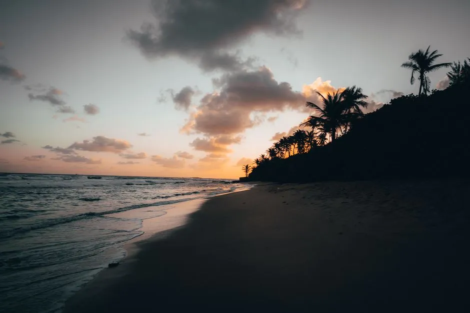 Laguna Grande in Fajardo: The Accessible Wonder (Image Credits: Pexels)