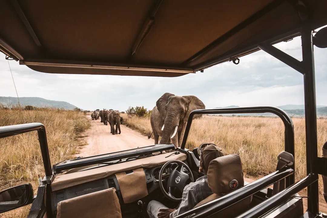 What the Natural World Teaches You When You Face It Alone (Image Credits: Unsplash)