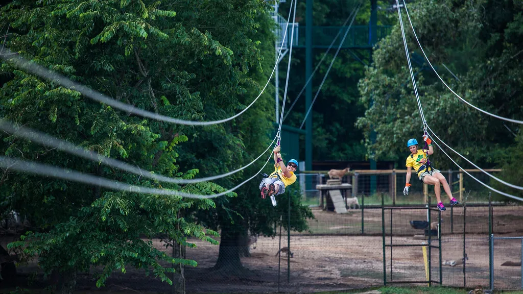 It's Not Just a Waterpark (Shreveport-Bossier: Louisiana's Other Side, Flickr, CC BY 2.0)
