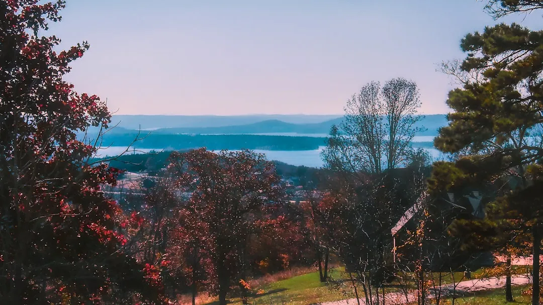 Missouri's Hermann Wine Trail: History You Can Taste (Image Credits: Unsplash)