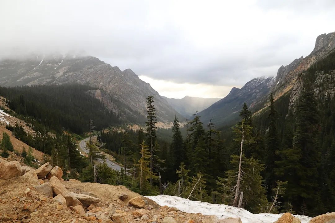 The Highway That Became Washington's Crown Jewel (Image Credits: Unsplash)