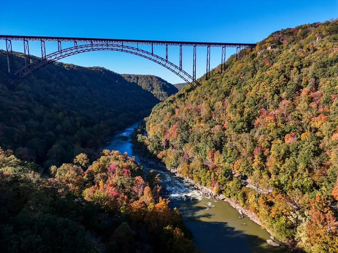 Bridge Day: West Virginia's Largest Single-Day Festival (Image Credits: Unsplash)