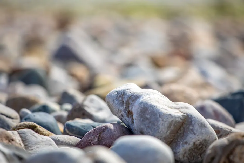 The Railroad That Changed Everything (Image Credits: Pexels)