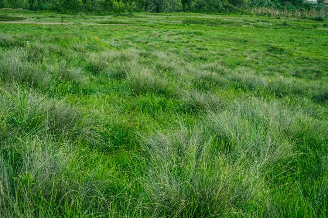 The Largest Protected Mixed-Grass Prairie in America (Image Credits: Unsplash)