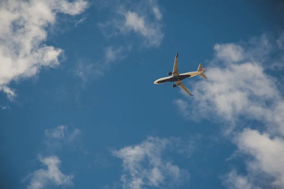 Airfare and Accommodation Prices Drop Significantly (Image Credits: Pexels)