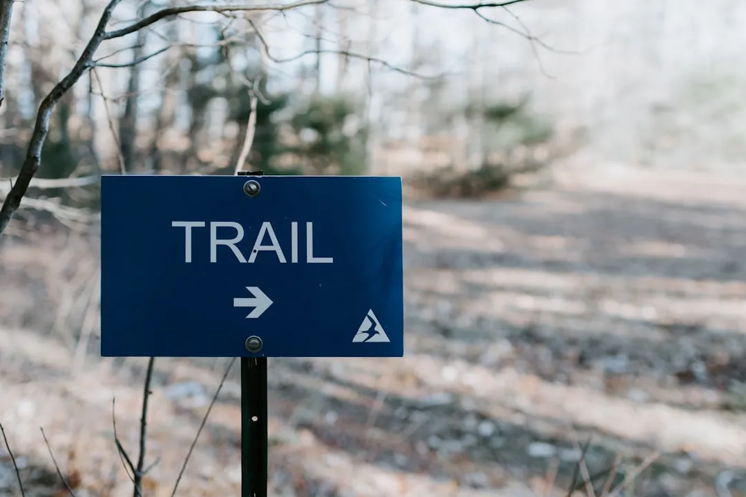 7. Yield Properly to Other Trail Users (Image Credits: Unsplash)