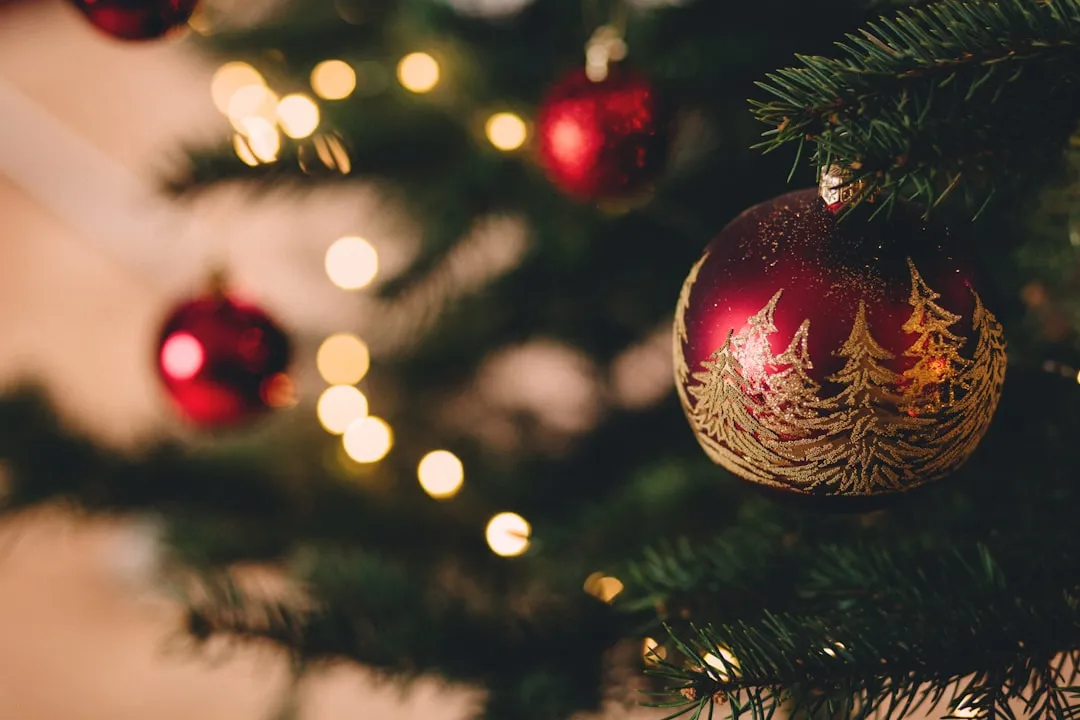 The Christmas and New Year's Booking Window (Image Credits: Unsplash)