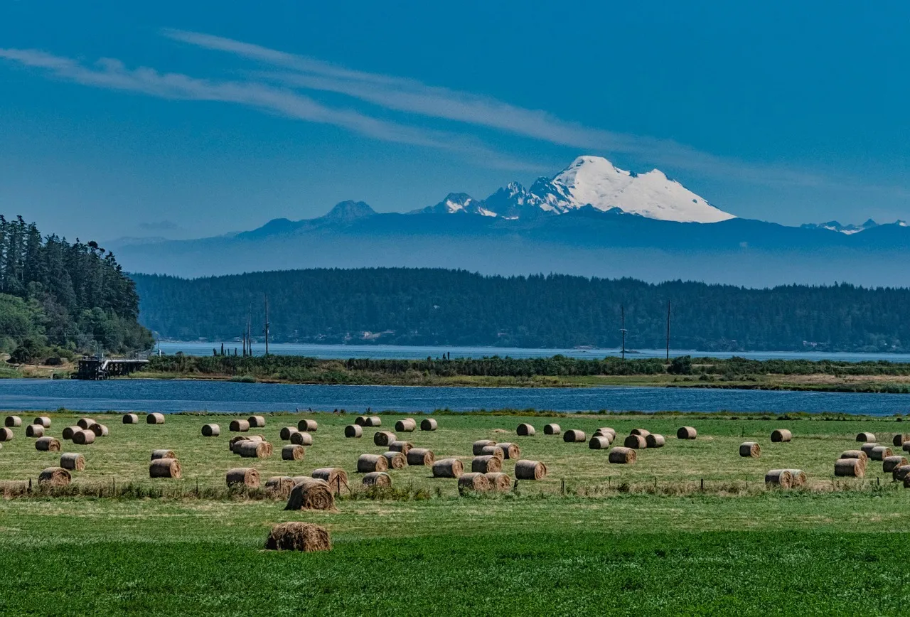 The Towns That Make You Want to Stay Longer (Image Credits: Pixabay)