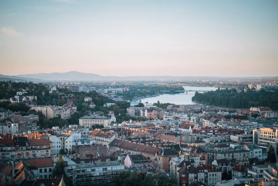 The Growth Numbers Tell Their Own Story (Image Credits: Pexels)