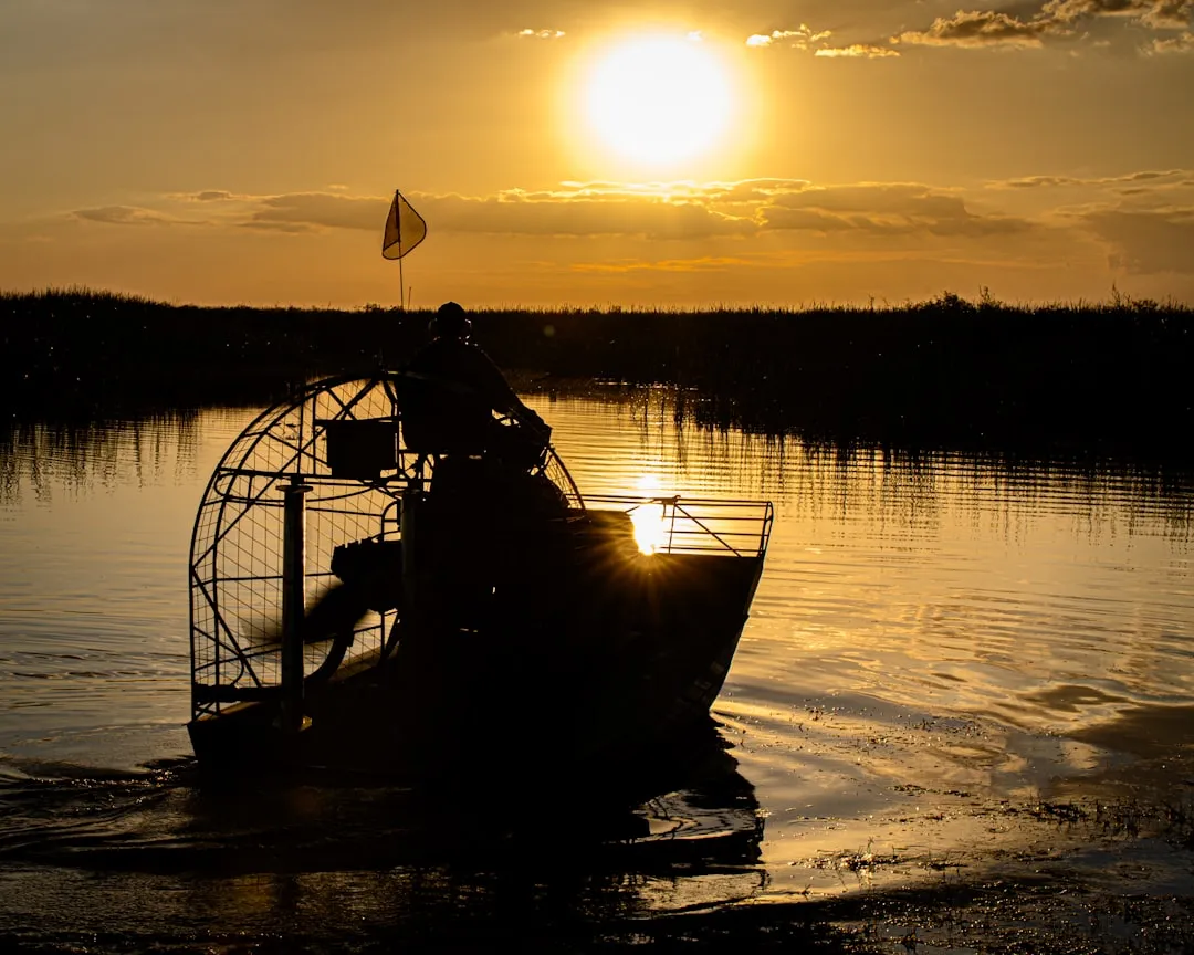 Wild Florida: Where the Village Meets the Wilderness (Image Credits: Unsplash)