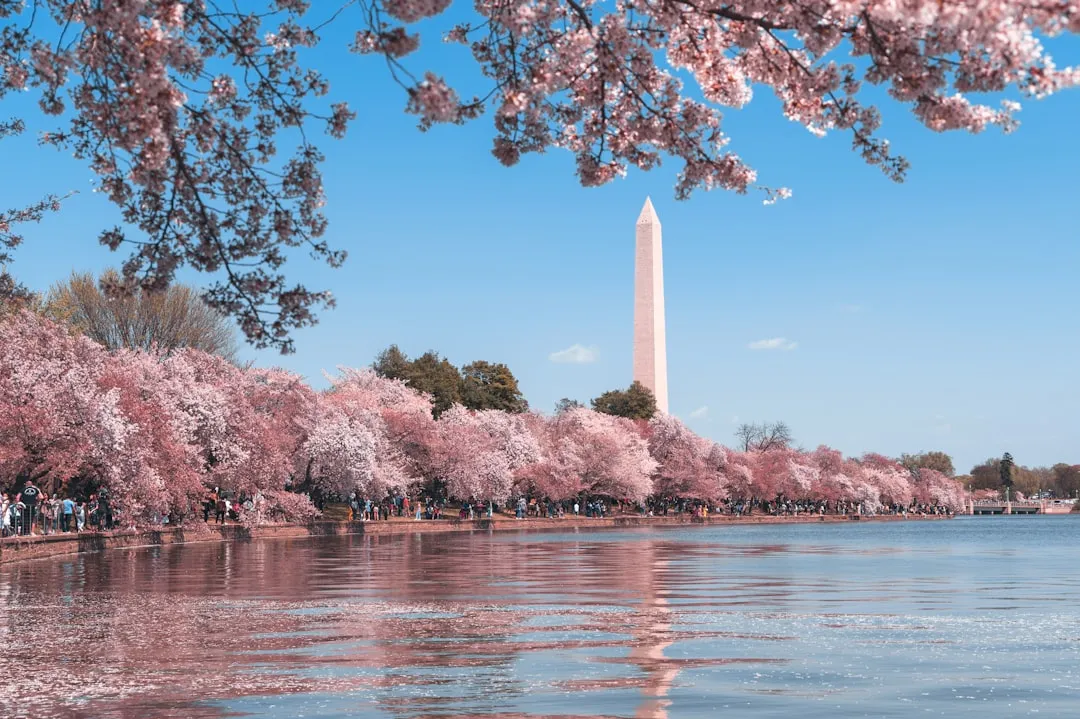 Washington D.C.: The Benchmark for the Nation (Image Credits: Unsplash)