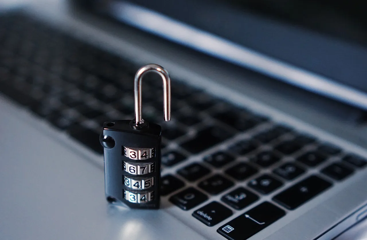 What Data Is Actually at Risk (Image Credits: Pixabay)