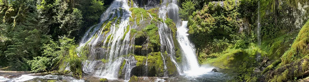 Panther Creek Falls: The One Worth the Miles (Image Credits: Flickr)