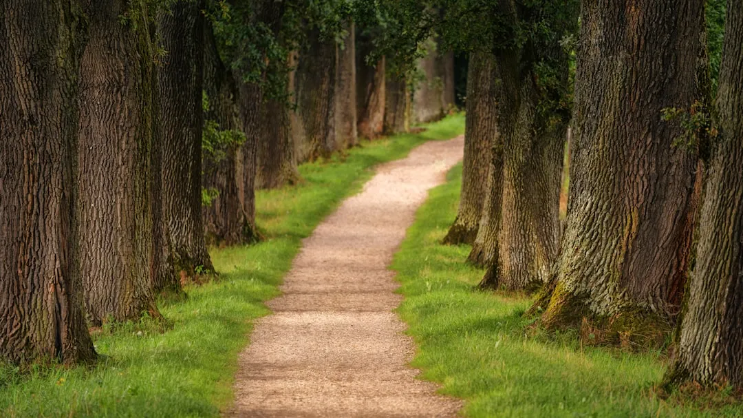 The Philosopher's Path and Its Quieter Extensions (Image Credits: Unsplash)