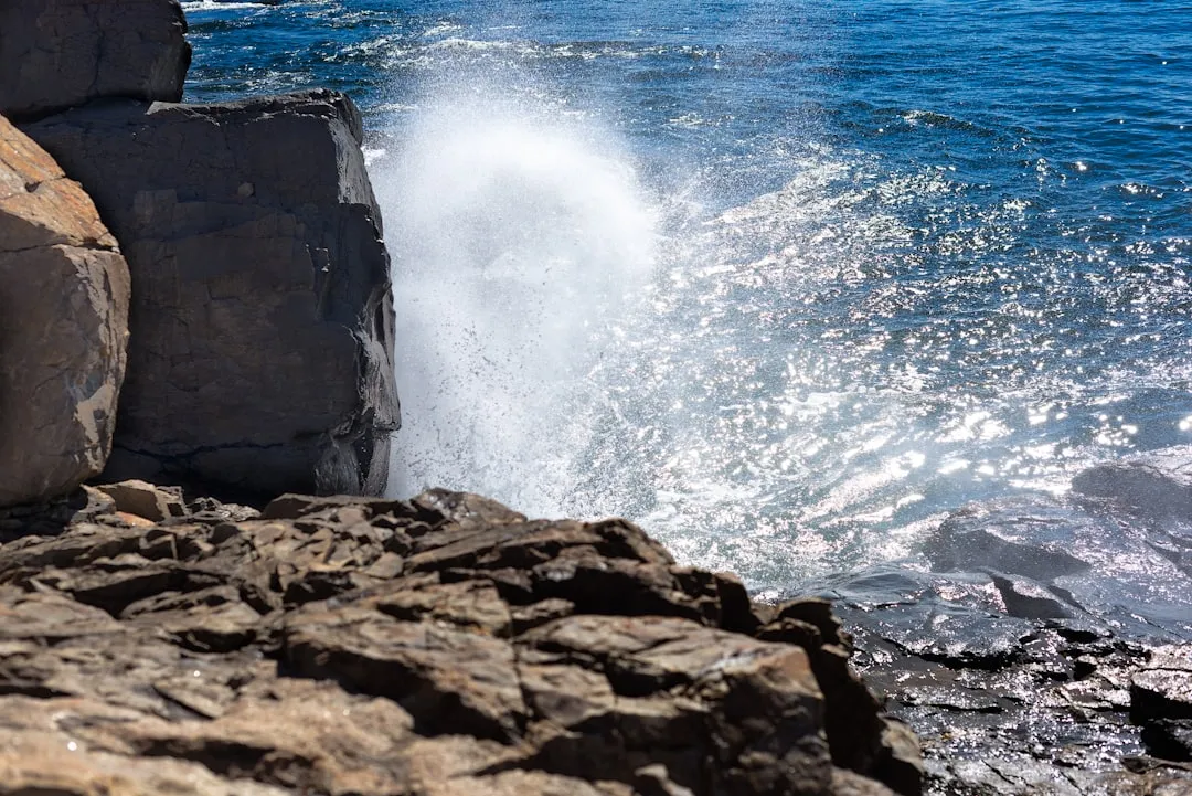 Fall Foliage Meets the Sea in a Truly Rare Way (Image Credits: Unsplash)