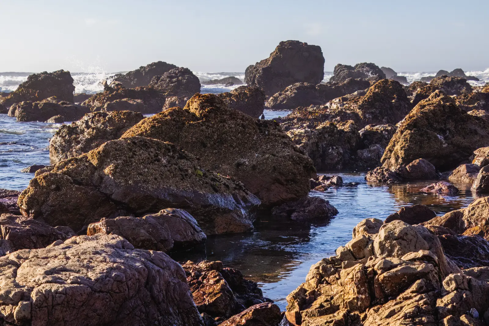 Where the Morning Really Begins (Image Credits: Pexels)