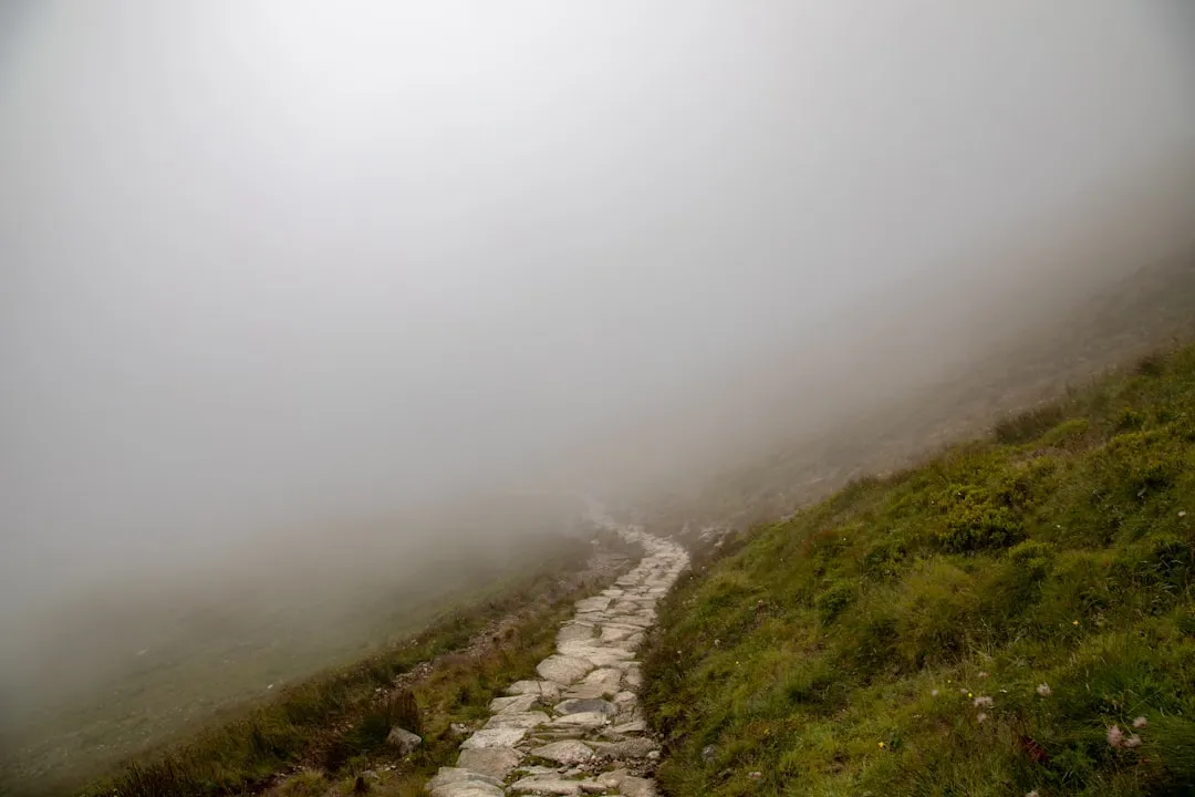 The Indecision That Compounds the Drift (Image Credits: Unsplash)