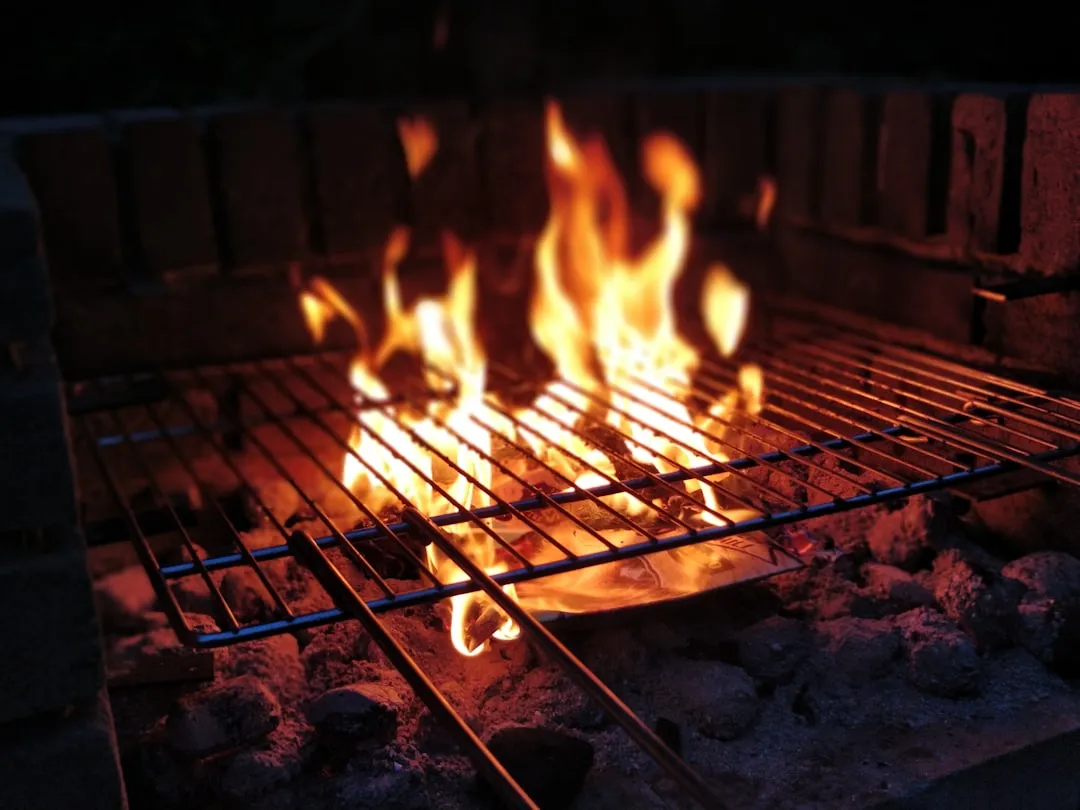 Wood-Fired Menus and the Agricultural Backbone Behind Them (Image Credits: Unsplash)