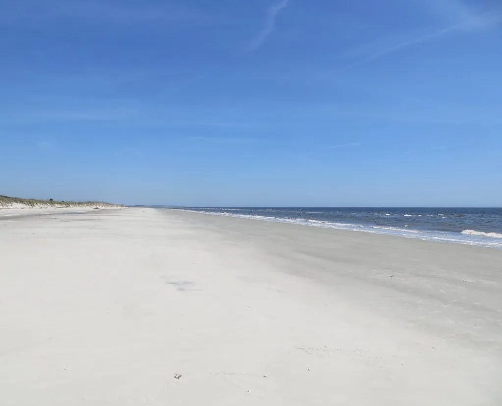 Sapelo Island: Georgia's Other Forgotten Coast (NatalieMaynor, Flickr, CC BY 2.0)