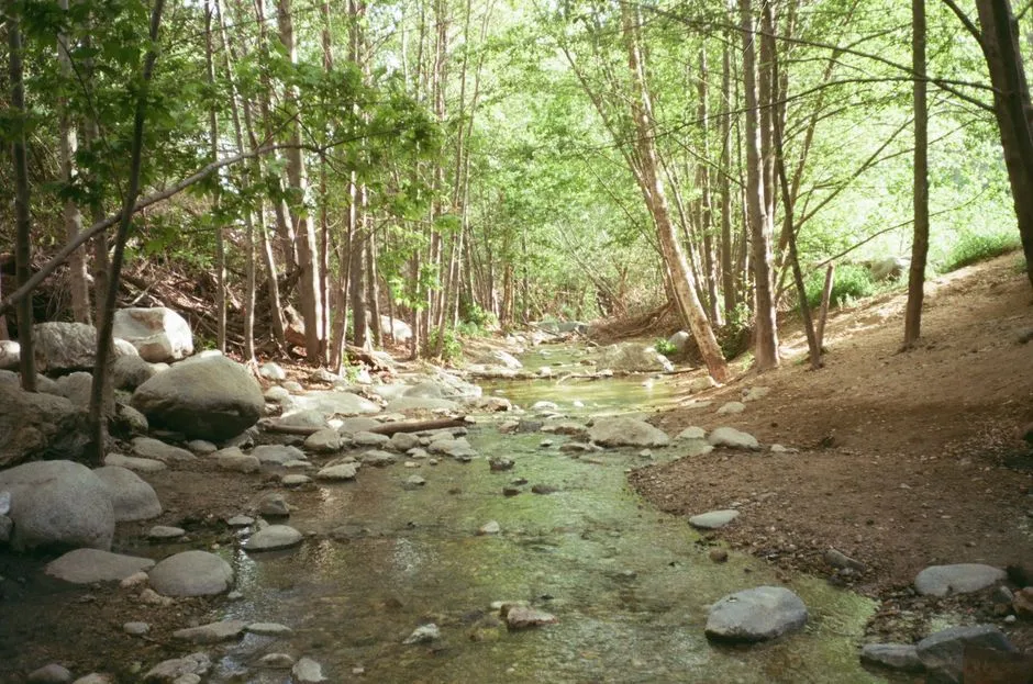 Tonto Creek: The Real Draw for Outdoor Families (Image Credits: Pexels)