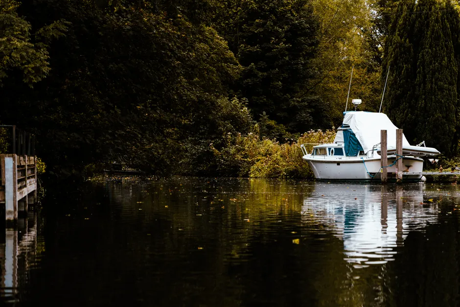 The Takeaway (Image Credits: Pexels)