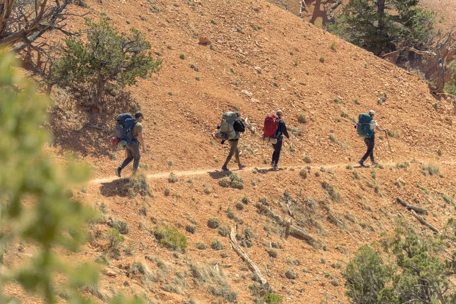 Group Hiking Amplifies the Effect (Image Credits: Pexels)