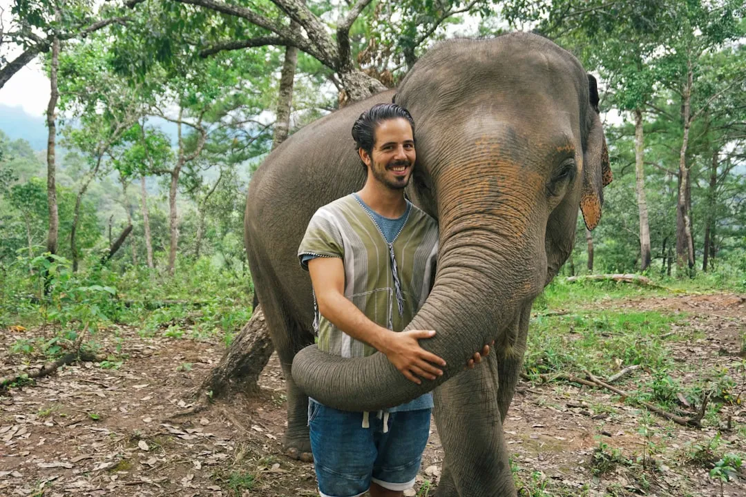 1. Hands-Off Elephant Sanctuaries: Observation Over Interaction (Image Credits: Unsplash)
