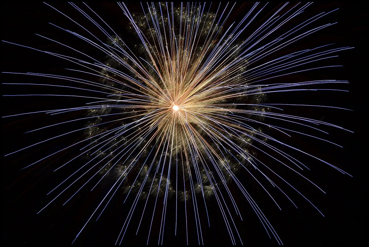 The Annual Dark Sky Festival (Image Credits: Pixabay)