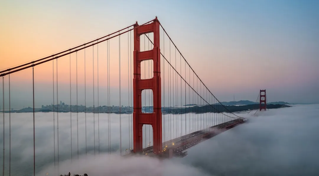 Fighting the Fog, the Tides, and the Skeptics (Image Credits: Unsplash)
