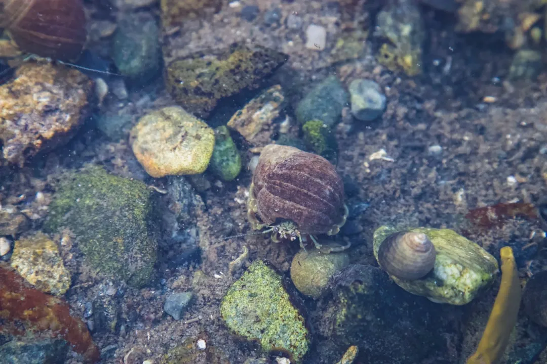 What the Marine Science Tells Us (Image Credits: Unsplash)