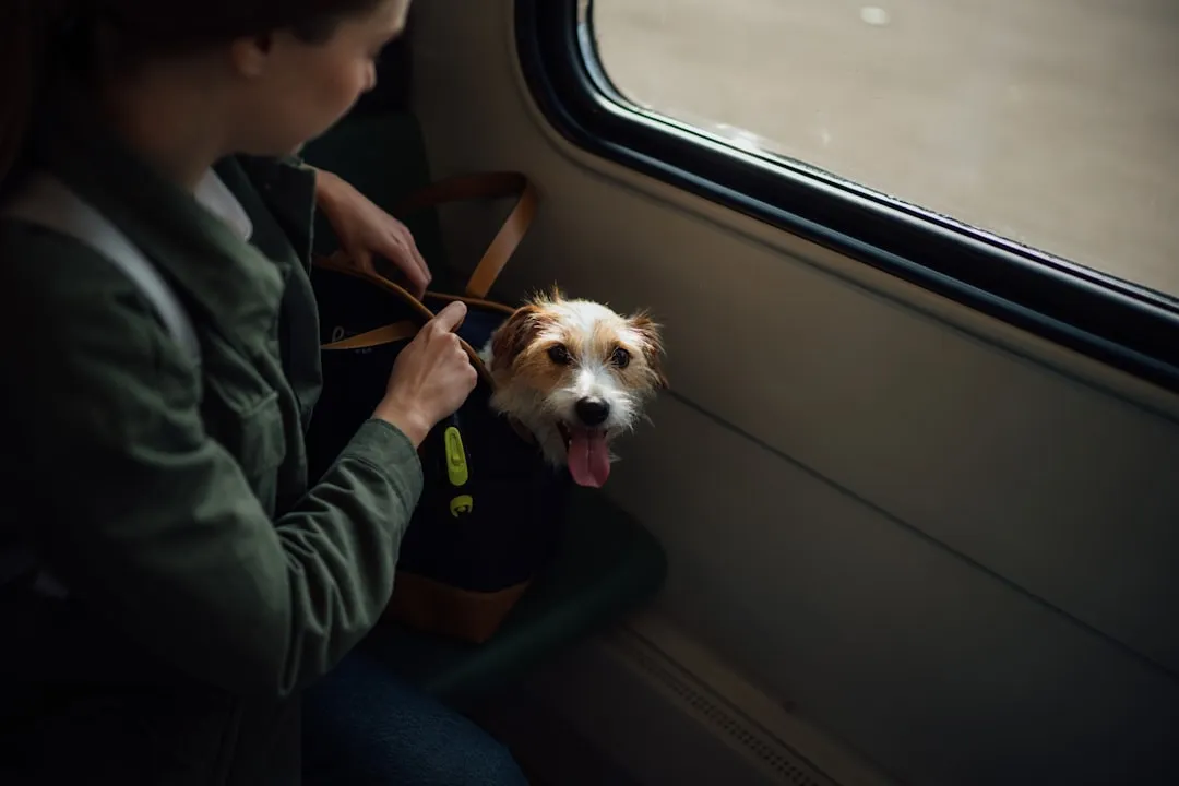 The Pet Carrier Is Your Most Important Purchase Before the Trip (Image Credits: Unsplash)