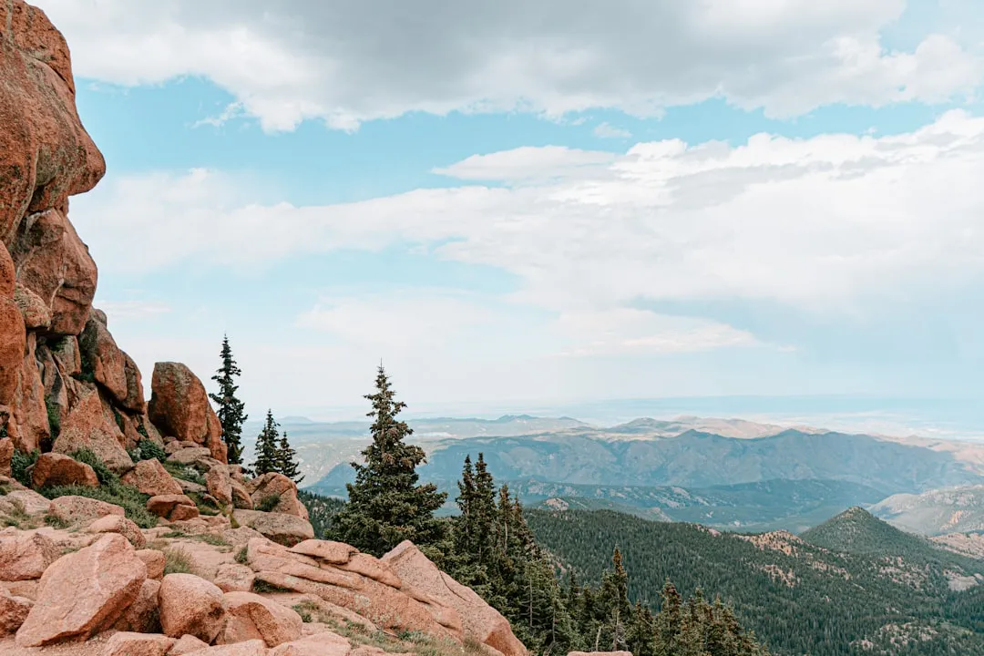 Buena Vista: The Mountain Town Colorado Locals Keep to Themselves (Image Credits: Unsplash)