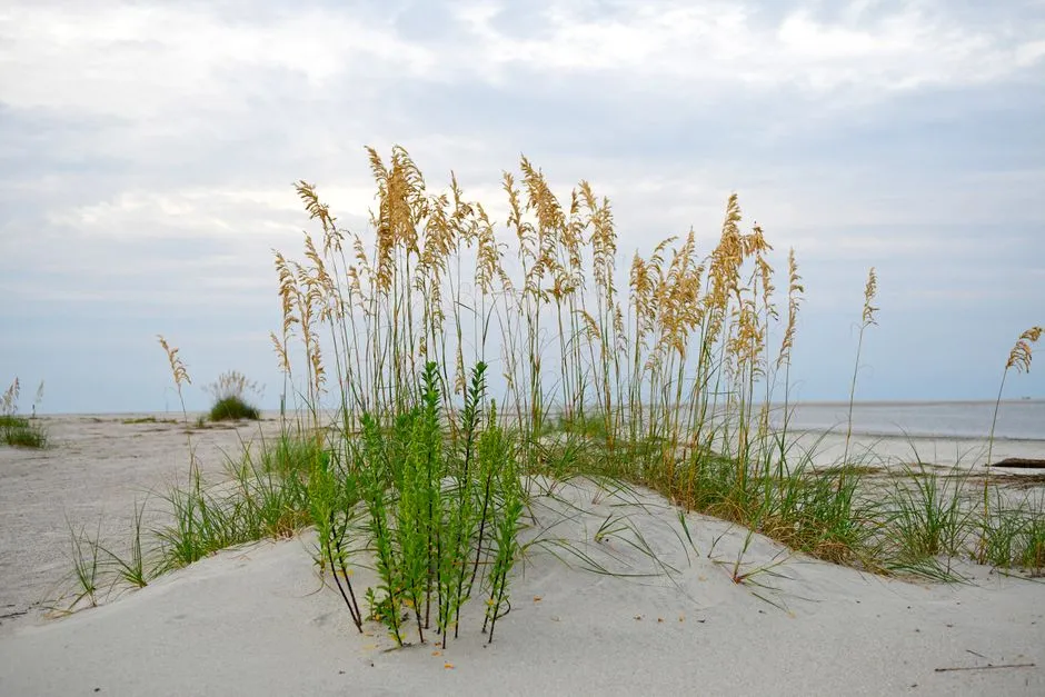 Twenty-Three Ecological Communities in One Place (Image Credits: Pexels)