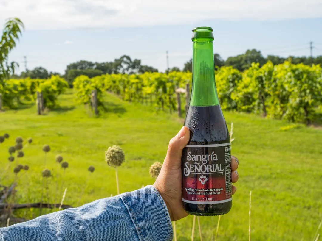 Sandy Road Vineyards: A Century of Farming, Now in the Glass (Image Credits: Unsplash)