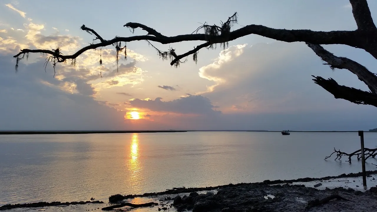 Cumberland Island: Wild, Quiet, and Deliberately Hard to Reach (Image Credits: Pixabay)